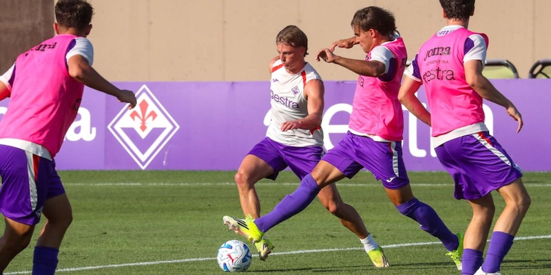Fiorentina-Gubbio in tv: 2 canali e 1 orario choc per il test amichevole di precampionato 2026
