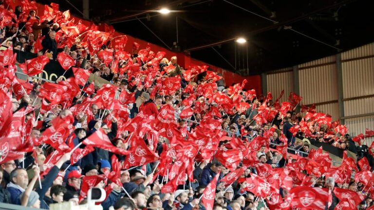 Supporter du Stade Brestois suspendu pour racisme dans les tribunes